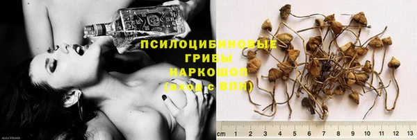 дурь Горно-Алтайск