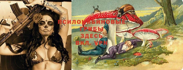 эйфоретик Горнозаводск