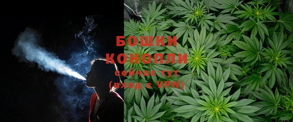 дурь Горно-Алтайск