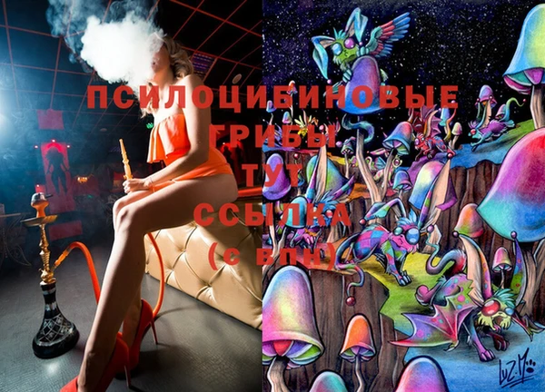 эйфоретик Горнозаводск