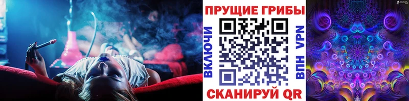Купить закладки  Гусь-Хрустальный  Псилоцибиновые грибы MAGIC MUSHROOMS 